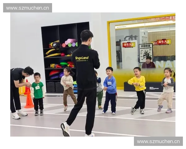 运动协调架在儿童体能发展中的应用与训练效果研究分析