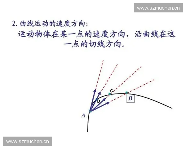 运动生物力学在运动表现提升与伤害预防中的应用研究