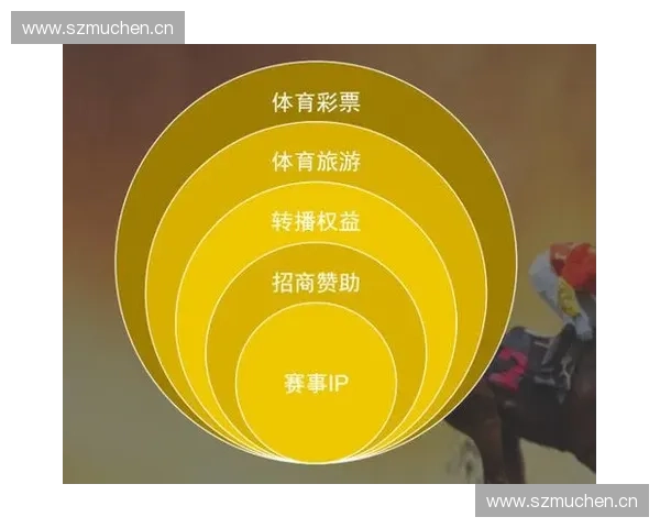 体育技术官在赛事规则执行风险防控与数字化管理协同机制中的实践探索